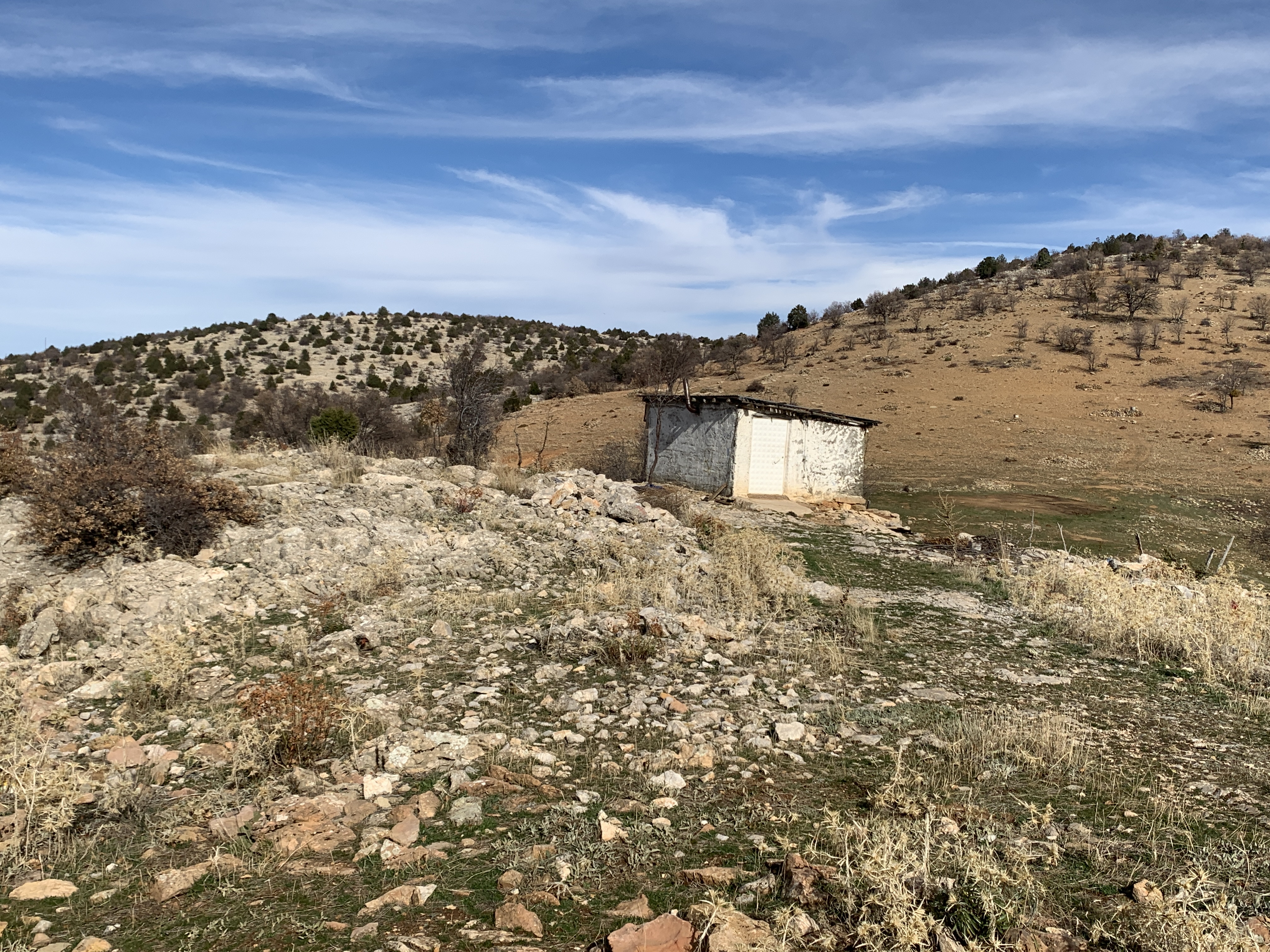 KONYA HADİM AŞAĞI EŞENLER KÖYÜNDE 442 M² TARLAMIZ SATILIKTIR. - KONYA HADİM fotoğraf 12