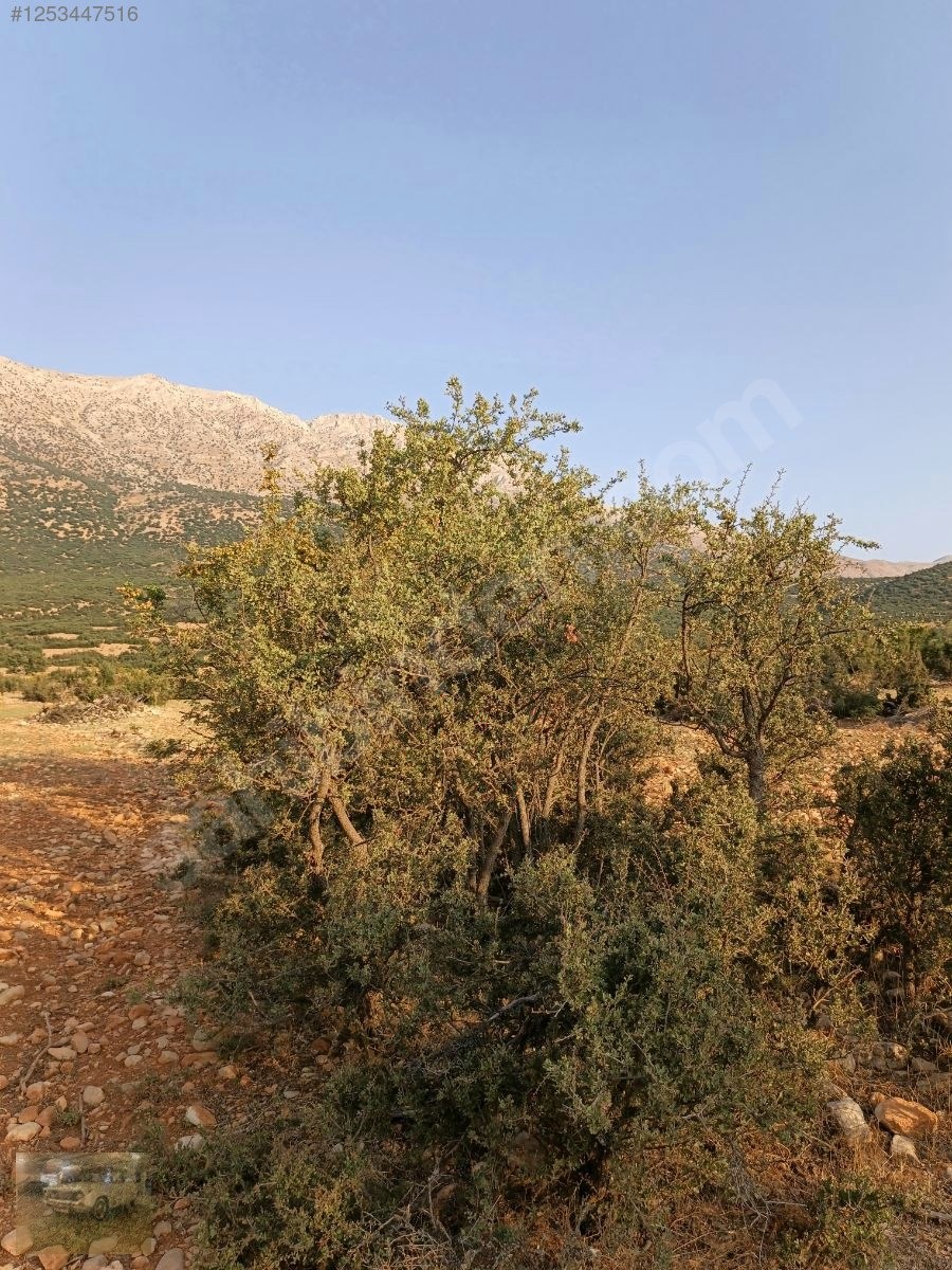 acil !korkuteli'de Yazıra komşu İmecikte 1883m mahalle yanında - ANTALYA KORKUTELİ fotoğraf 27