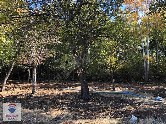 REMAX DOĞUDAN GÖZPINARI KÖYÜ 942 M2 HAZIR KURULU BAHÇE - ELAZIĞ MERKEZ fotoğraf 6