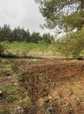 BURSA KELEŞ  BELENÖREN'DE 825 M²  TARLA  SATILIKTIR. - BURSA KELES fotoğraf 5