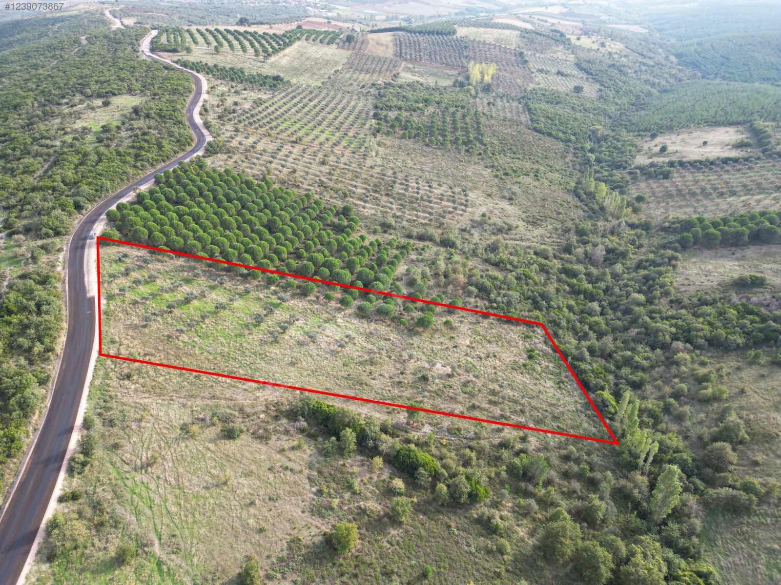 BURSA KARACABEY DOĞLA 'DA 8.600  M²  TARLA  SATILIKTIR. - BURSA KARACABEY fotoğraf 10