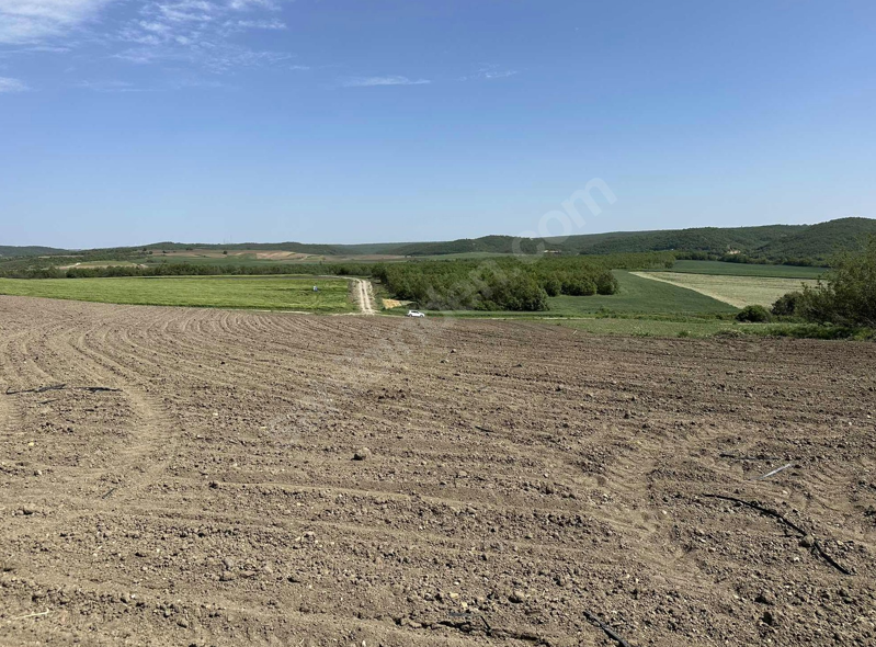 EDİRNE UZUNKÖPRÜ DEREKÖY  KÖYÜNDE 4.298 M² TARLA SATILIKTIR - EDİRNE UZUNKÖPRÜ fotoğraf 6