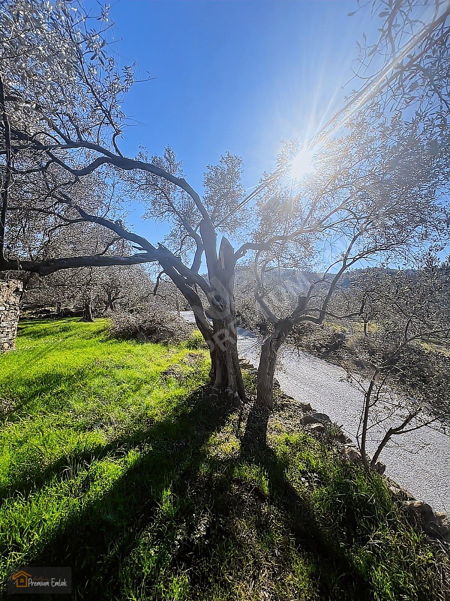 MİLAS KARACAHİSARDA KÖY İÇİ KAĞİR EV VE 980 M2 ARSASI - MUĞLA MİLAS fotoğraf 23