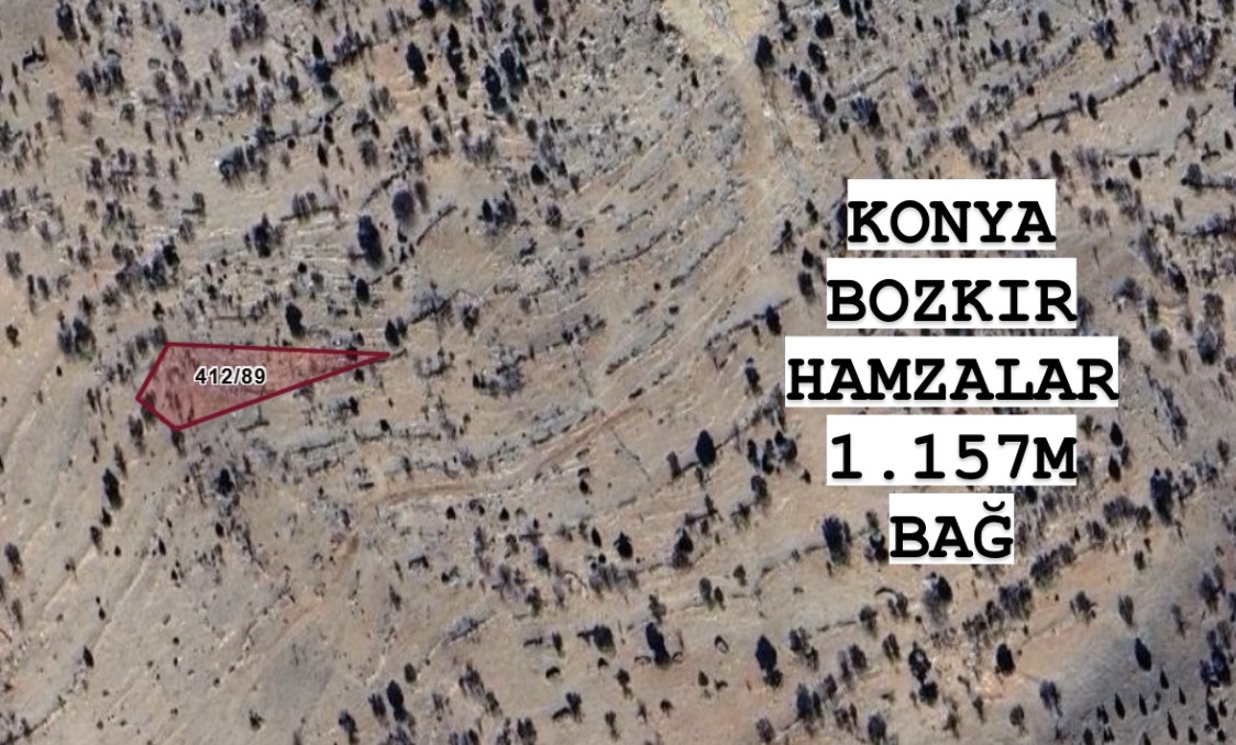 KONYA BOZKIR HAMZALAR KÖYÜNDE 1.157M² BAĞIMIZ SATILIKTIR. - KONYA BOZKIR fotoğraf 3
