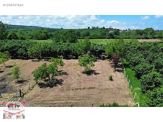 KARASU KUYUMCULUDA SATILIK 463 M2 FIRSAT ARSA - SAKARYA KARASU fotoğraf 18