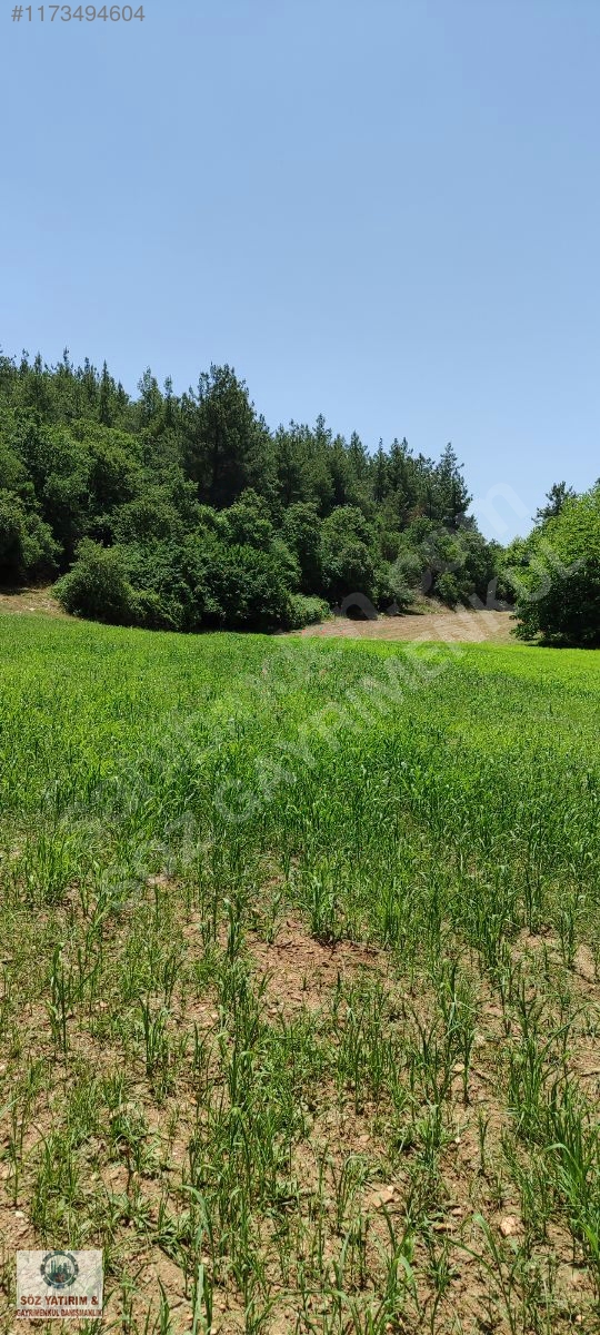 SÖZ EMLAKTAN; BAYINDIR LUTUFLARDA TEK TAPU BAHÇE - İZMİR BAYINDIR fotoğraf 5