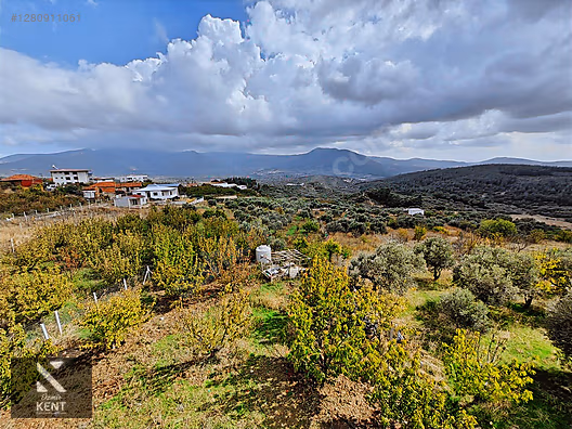 Kemalpaşa Vişneli Satılık 2920 m2 Dubleks Konut Ve Arsa - İZMİR KEMALPAŞA fotoğraf 28