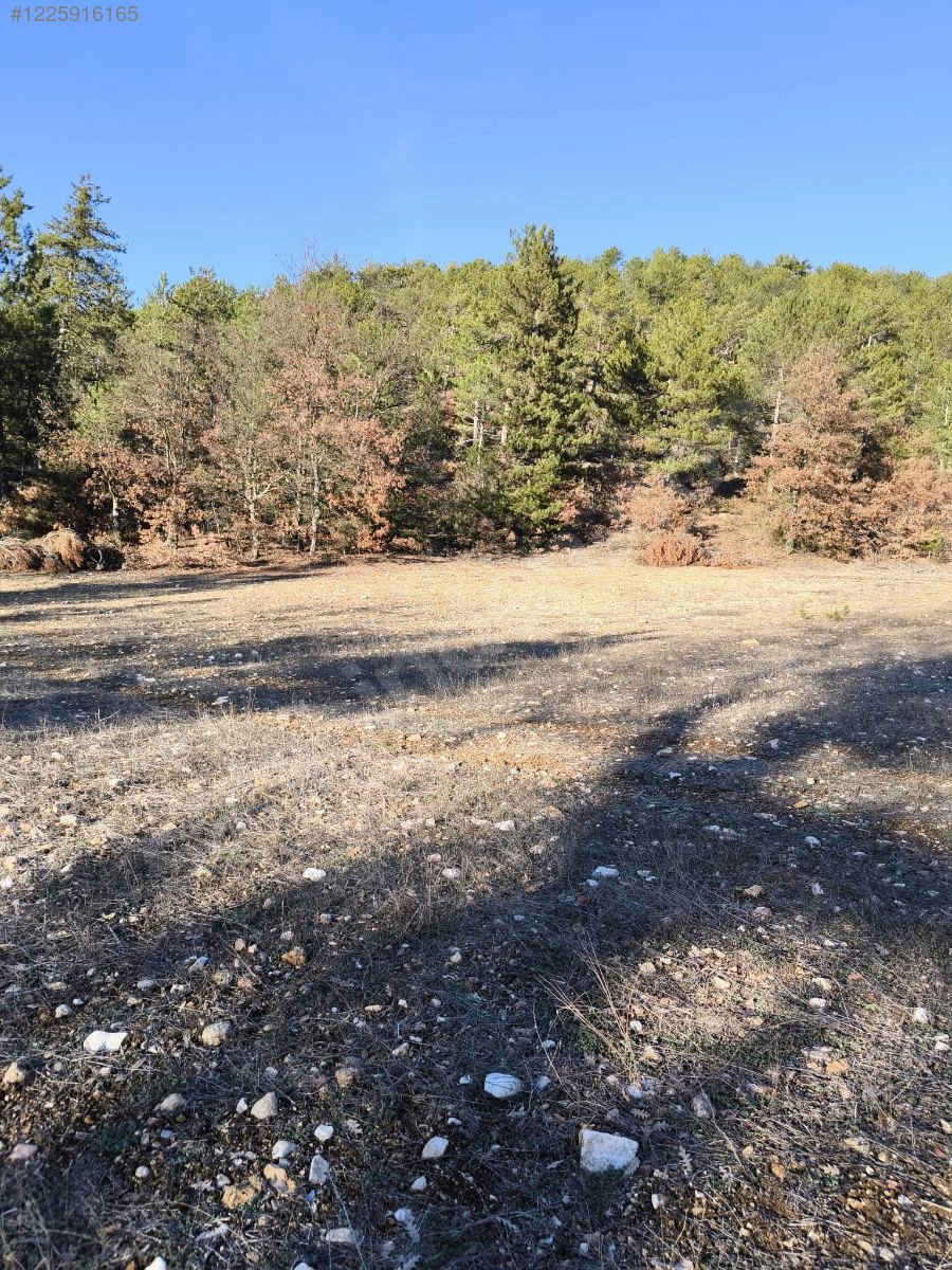 BURSA KELEŞ BAŞAK KÖYÜ’NDE 5.731 M²  TARLA SATILIKTIR - BURSA KELES fotoğraf 13