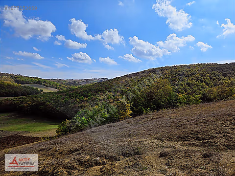 İZMİT KAYNARCA'DA TERAS KONUMDA 1449 M2 SATILIK FIRSAT TARLA - KOCAELİ İZMİT fotoğraf 3