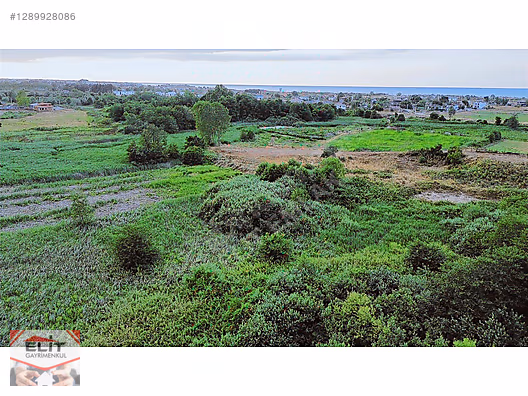 SAKARYA KARASU'DA SATILIK FRSAT KÖY İÇİNDE 635 metre² KUPON ARSA - SAKARYA KARASU fotoğraf 11