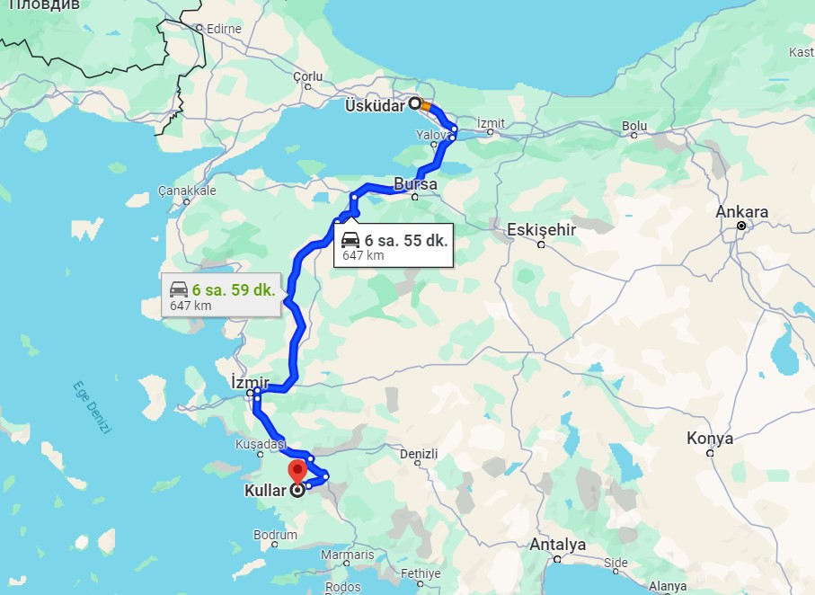 AYDIN KOÇARLI KULLAR 646 M2 FISTIK ÇAM ZEYTİNLİ TARLA SATILIKTIR - AYDIN KOÇARLI fotoğraf 9