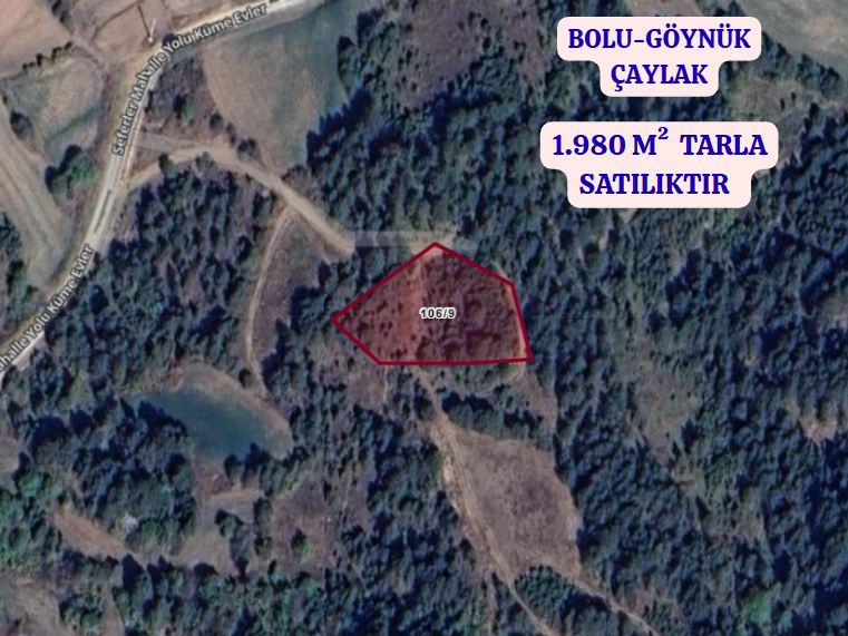 BOLU GÖYNÜK ÇAYLAK  KÖYÜNDE 1.980  M² TARLA  SATILIKTIR - BOLU GÖYNÜK fotoğraf 2
