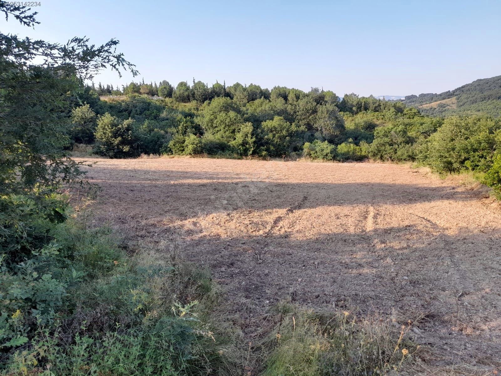 BURSA M.KEMALPAŞA MURADİYESARNIÇ 3.150 M² TARLA SATILIKTIR. - BURSA MUSTAFAKEMALPAŞA fotoğraf 7