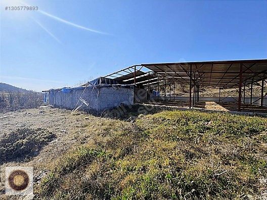 KESTEL GÖLCÜK MH SATILIK GÖL KENARI ÇİFTLİK - BURSA KESTEL fotoğraf 22