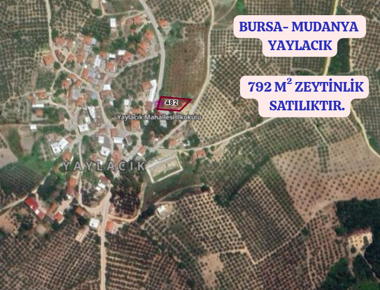 BURSA MUDANYA YAYLACIK KÖYÜNDE YAYLACIK 792 M² ZEYTİNLİK SATILIKTIR. - BURSA MUDANYA fotoğraf 2