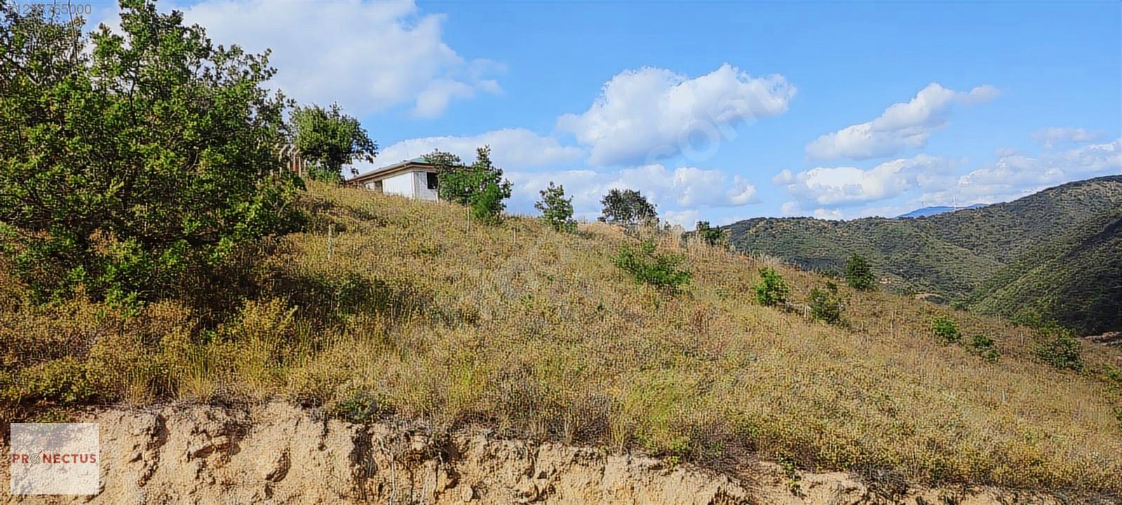 ÇAMDİBİ BOZKURT MAH. 1448 M2 %5 İMARLI ARSA. - KOCAELİ KARAMÜRSEL fotoğraf 5