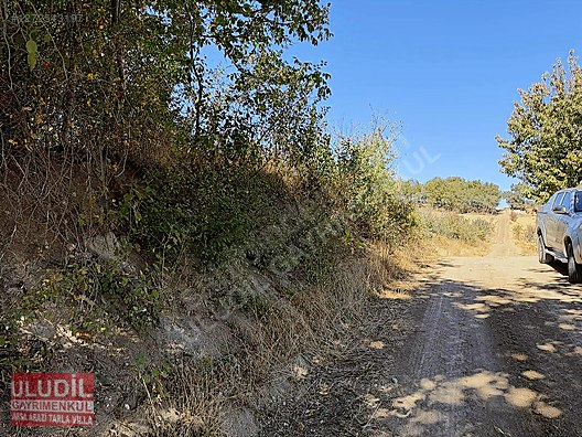 BİLECİK YENİPAZAR BATIBELEÖREN KÖYÜ SATILIK BAHÇE - BİLECİK YENİPAZAR fotoğraf 11