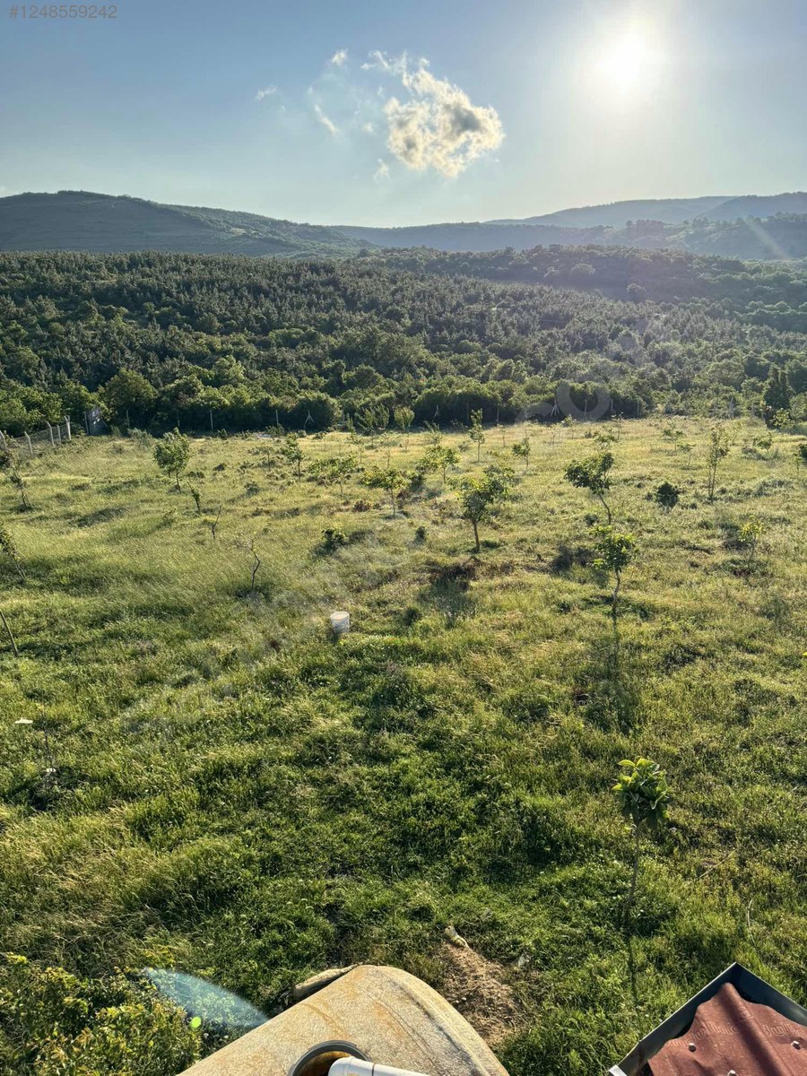 BURSA İZNİK BAYINDIR KÖYÜNDE 5.009 M TARLA SATILIKTIR - BURSA İZNİK fotoğraf 23