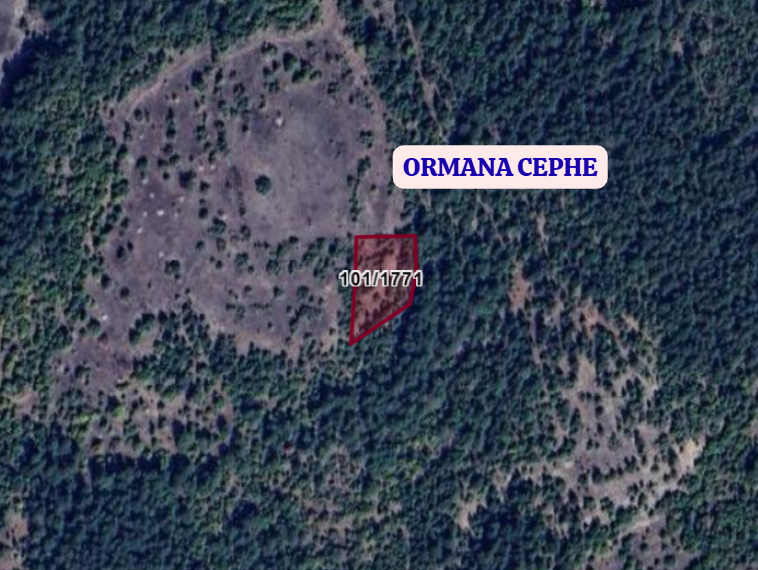 KÜTAHYA DOMANİÇ SARIOT  KÖYÜNDE 2.300 M² TARLA SATILIKTIR - KÜTAHYA DOMANİÇ fotoğraf 3