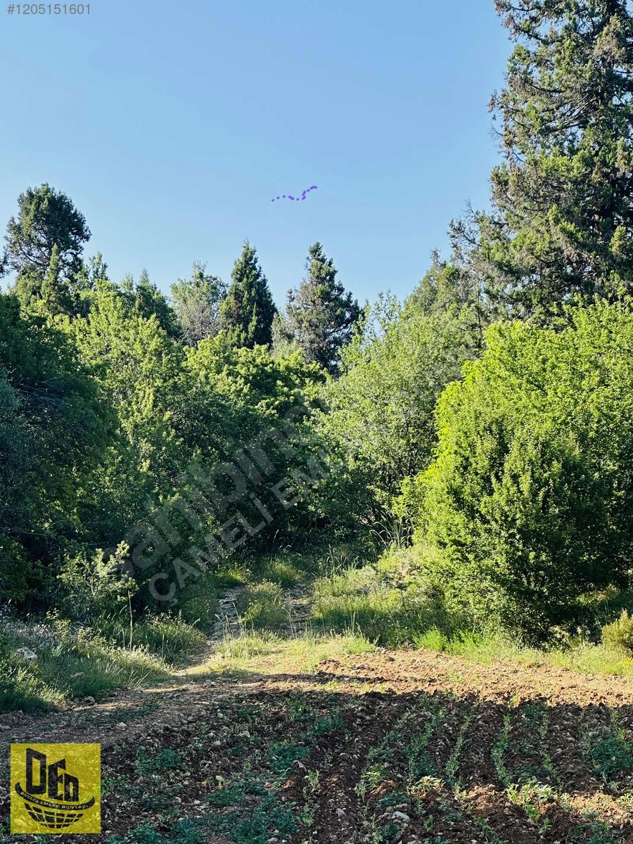 DENİZLİ ÇAMELİ KALINKOZ YATIRIMLIK 839m2 KUPON TARLA - DENİZLİ ÇAMELİ fotoğraf 3
