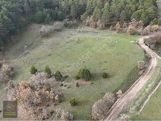 BOLU MUDURNU'DA OTELLER BÖLGESİNDE 7.965M2 UYGUN ARSA - BOLU MUDURNU fotoğraf 12