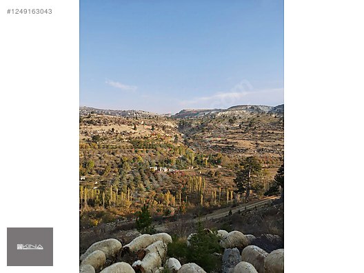SÖĞÜTÖZÜ YAYLASINDA SATILIK EV VE ARSASI - MERSİN MUT fotoğraf 5