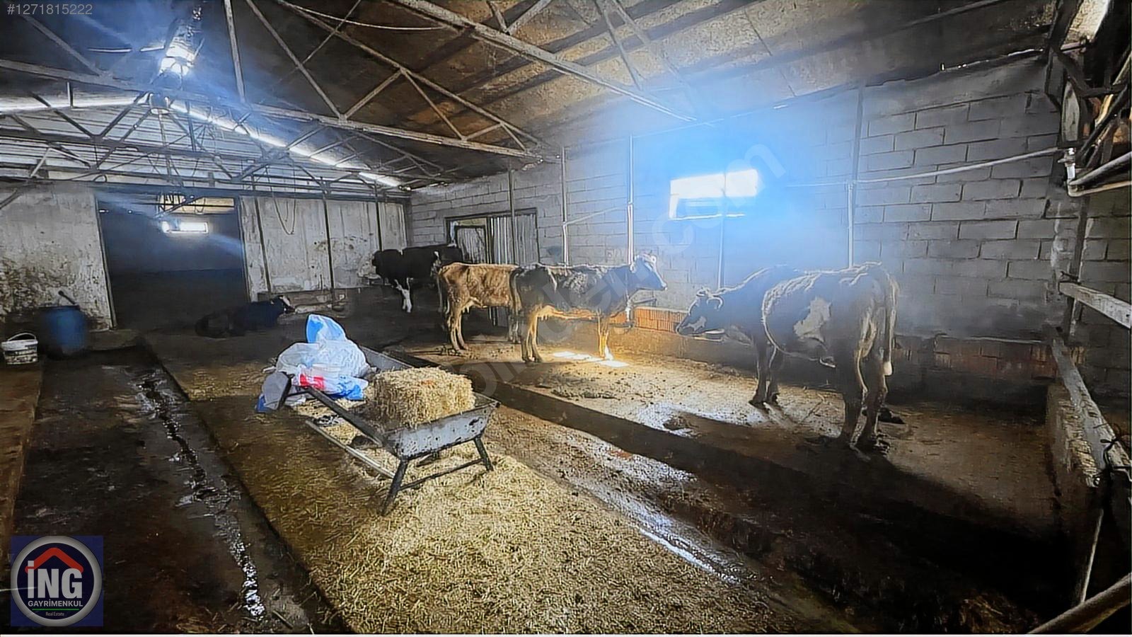KIRKLARELİ YÜNDALAN'DA HAZIR KURULU RUHSATLI 18 DÖNÜM ÇİFTLİK - KIRKLARELİ MERKEZ fotoğraf 9