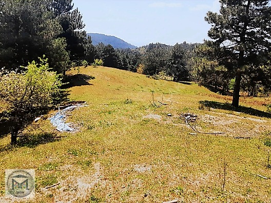 HAVRAN FAZLICA HANLAR MEVKİİ EKO TURİZME UYGUN 12500 M2 TARLA - BALIKESİR HAVRAN fotoğraf 15