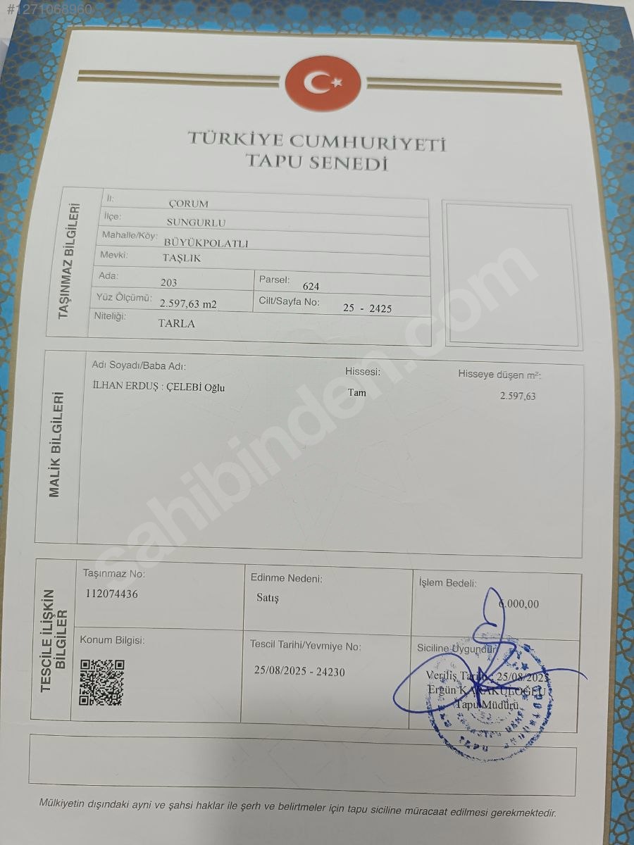 ÇORUM SUNGURLU BÜYÜKPOLATLI  KÖYÜNDE  2.597  M² TARLA  SATILIKTIR - ÇORUM SUNGURLU fotoğraf 5