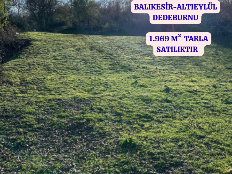 BALIKESİR ALTIEYLÜL DEDEBURNU   KÖYÜNDE 1.969  M²  TARLA  SATILIKTIR - BALIKESİR ALTIEYLÜL fotoğraf 2
