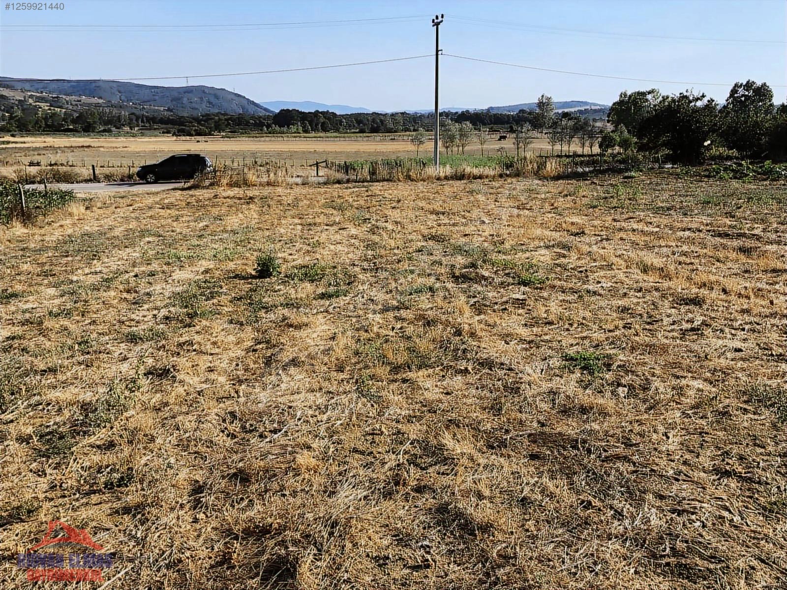Kandıra Kırkarmut Ana Yola Cephe Satılık Arsa - KOCAELİ KANDIRA fotoğraf 12