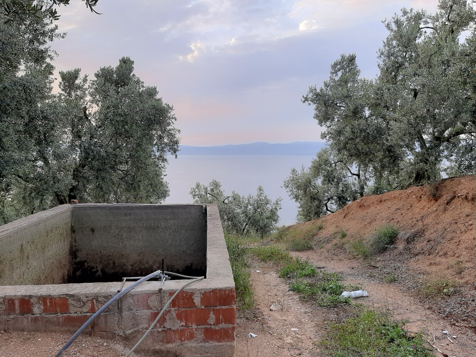 Tamamen göl manzaralı satılık zeytin bahçesi takasa açıktır - BURSA İZNİK fotoğraf 7