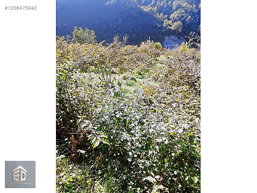 ÇUKURÇAYIR SOFRAKAYA'DA SATILIK ARSA - TRABZON ORTAHİSAR fotoğraf 2