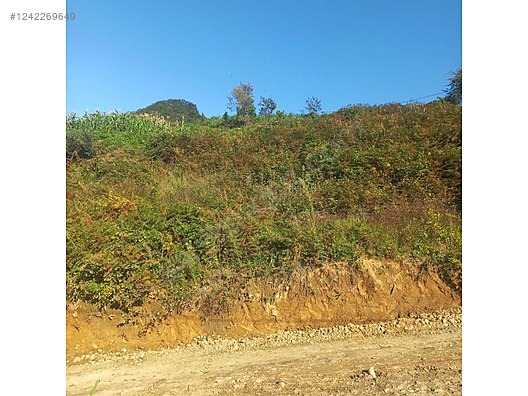 SATILIK ARSA DOĞA VE DENİZ MANZARALI - GİRESUN TİREBOLU fotoğraf 2