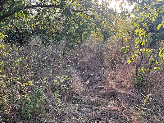 KOCAELİ KANDIRA LOKMANLI   KÖYÜNDE 727 M²  TARLA  SATILIKTIR - KOCAELİ KANDIRA fotoğraf 8