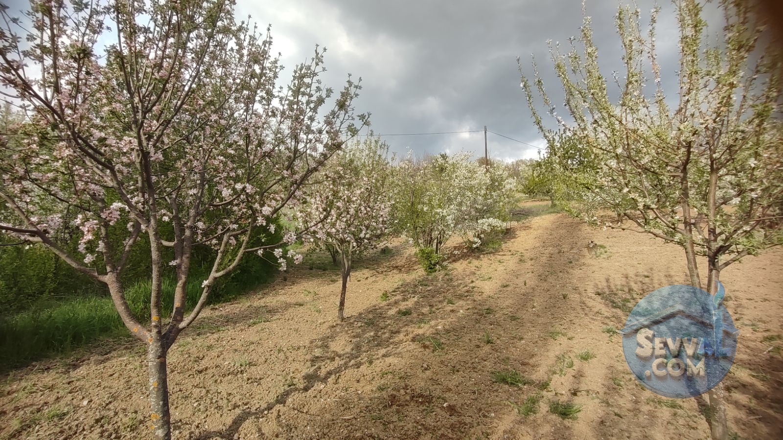 Satılık 579m² Meyve Bahçesi (Kütahya/Şaphane Karaağıl Mah.) - Kütahya Şaphane fotoğraf 21