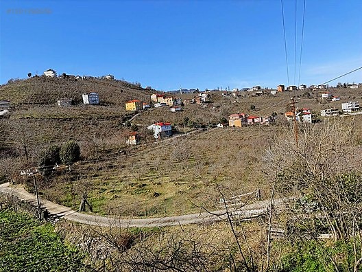 ESPİYE ÇAM MAHHALLESİ AYRIK NİZAM 7 KAT İMARLI FIRSAT ARSALAR - GİRESUN ESPİYE fotoğraf 6