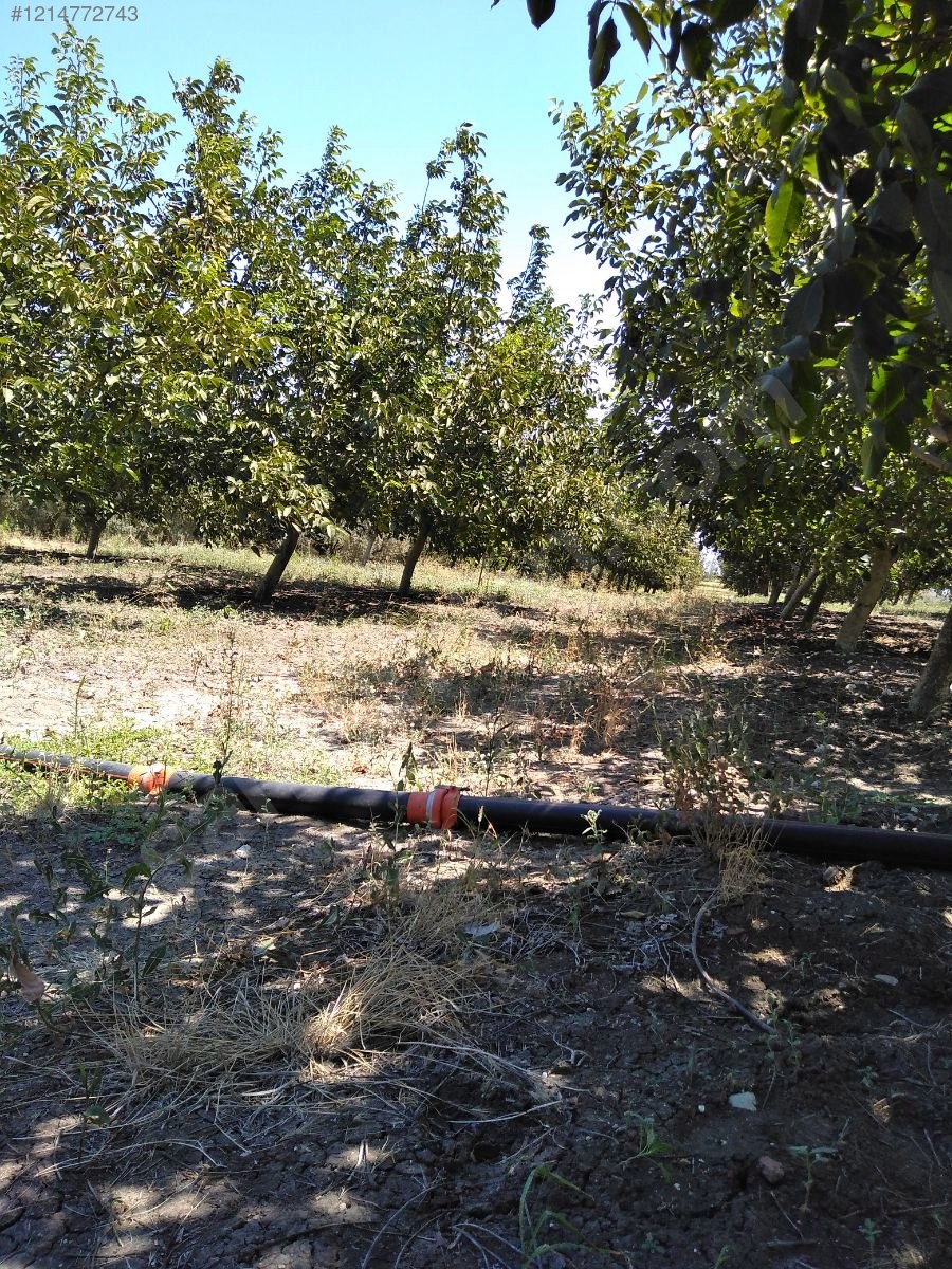 BURSA KARACABEY SUBAŞI KÖYÜNDE 6.000  M² TARLA SATILIKTIR - BURSA KARACABEY fotoğraf 20