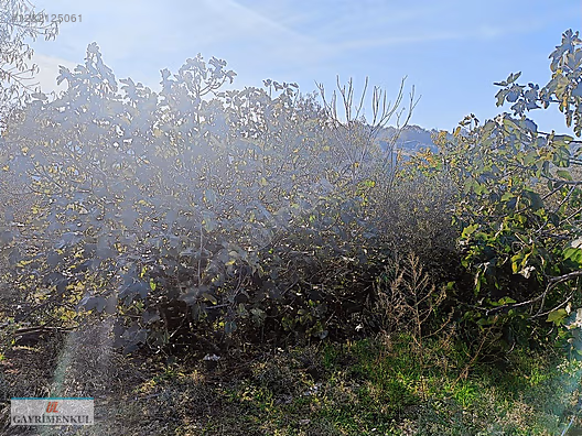 Bursa Mudanya Akköy Köyü'nde Satılık İmarlı Arsa - BURSA MUDANYA fotoğraf 5