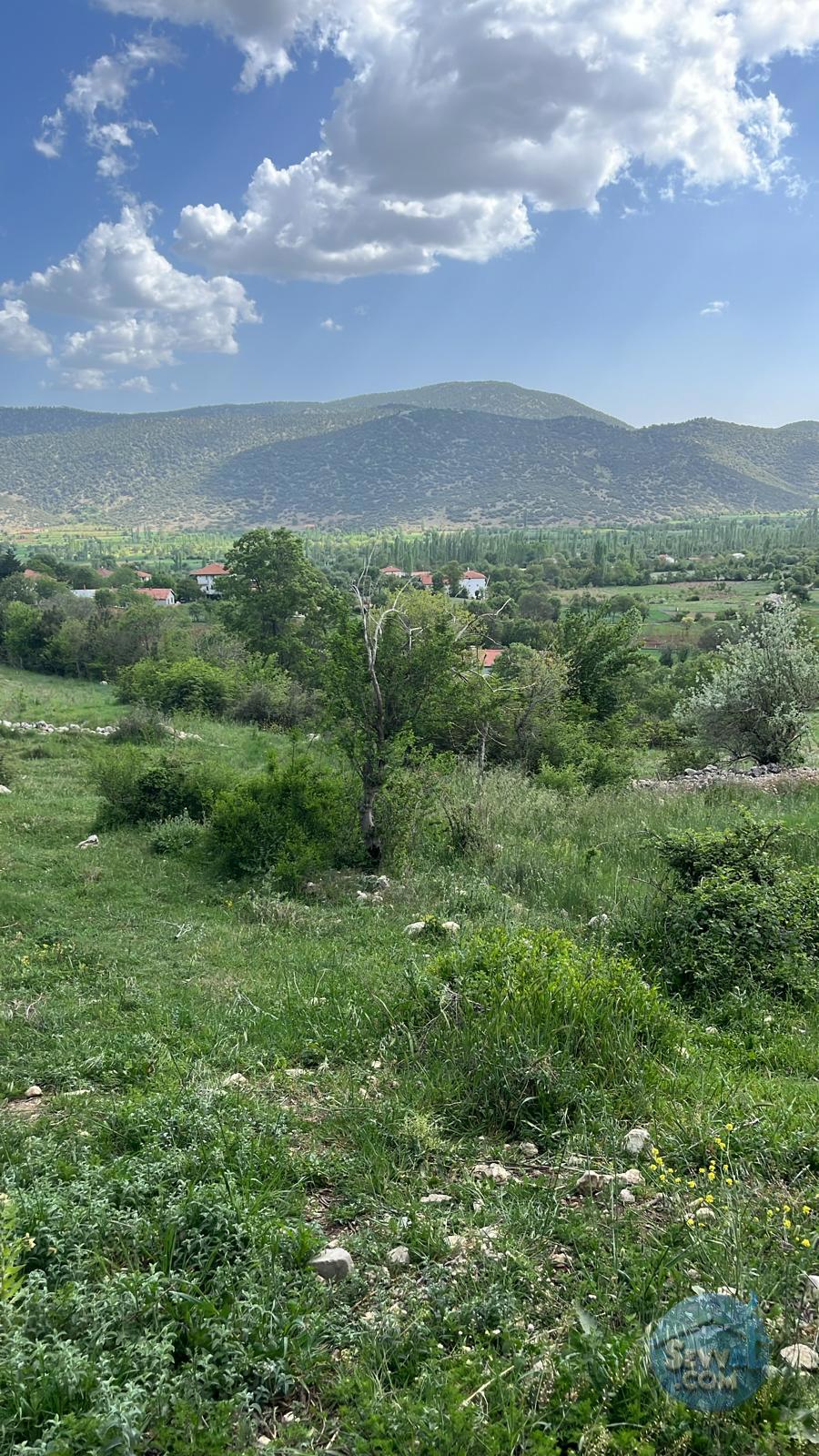 AĞLASUN YAZIR KÖYÜNDE FIRSAT ARAZİ - BURDUR AĞLASUN fotoğraf 18