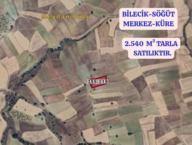 BİLECİK  SÖĞÜT MERKEZ-KÜRE KÖYÜNDE 2.540  M² TARLA SATILIKTIR - BİLECİK SÖĞÜT fotoğraf 2