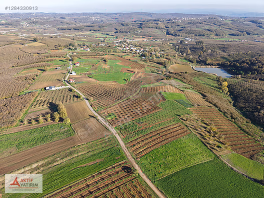 SAKARYA KAYNARCA CEBEK 2786 M2 KARE ORMANA CEPHELİ RESMİ YOLLU - SAKARYA KAYNARCA fotoğraf 18