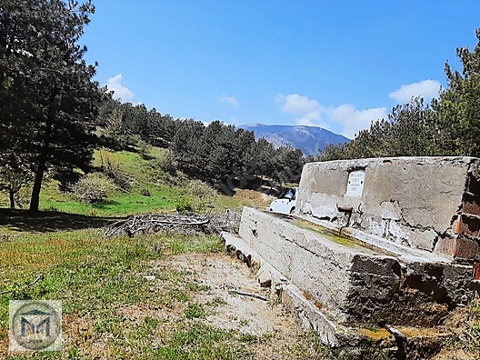 HAVRAN FAZLICA HANLAR MEVKİİ EKO TURİZME UYGUN 12500 M2 TARLA - BALIKESİR HAVRAN fotoğraf 12