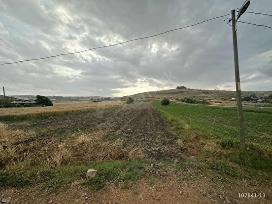 KUZUÇARDAĞI KÖYÜNDE 2245 M2 MÜSTAKİL TAPU %60 İMARLI ARSA - KIRKLARELİ BABAESKİ fotoğraf 8