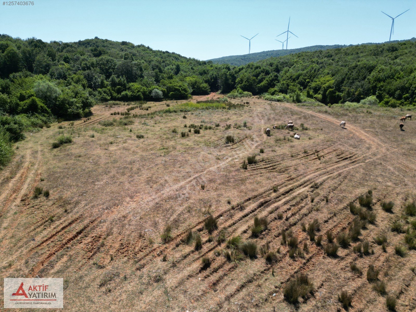 ORMANLA ÇEVRİLİ PLAJA YÜRÜME MESAFESİNDE 2118 M2 SATILIK HİSSE - KOCAELİ KANDIRA fotoğraf 5