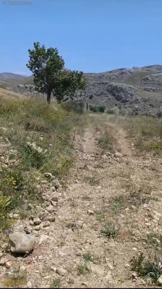 ihtiyaçtan satılık burdur kemer belenlide sınırsız sulamal tarla - BURDUR KEMER fotoğraf 8