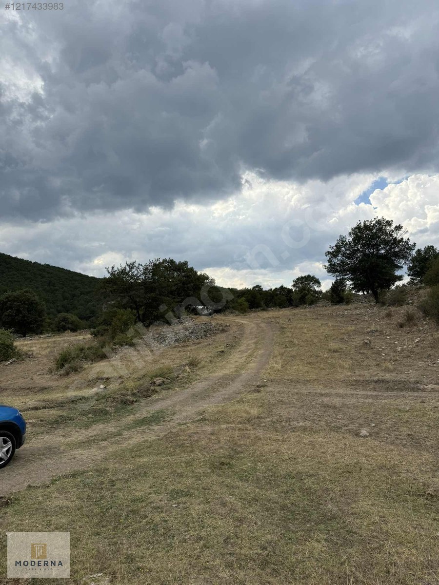 ESKİŞEHİR YAPILDAK YAYLASINDA MANZARALI 1.505 M2 TEK TAPU FIRSAT - ESKİŞEHİR SEYİTGAZİ fotoğraf 7