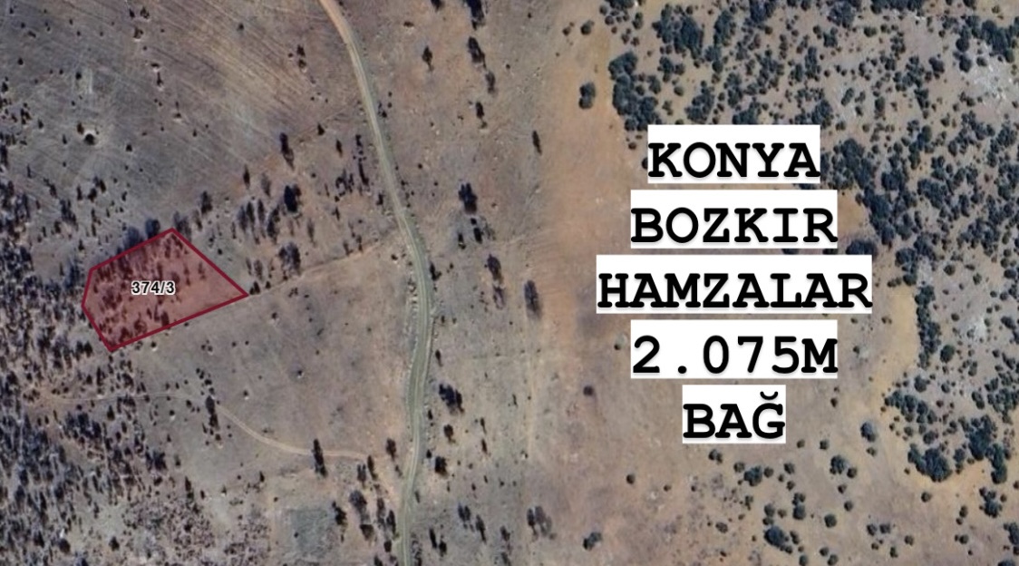 KONYA BOZKIR HAMZALAR KÖYÜNDE 2.075M² BAĞIMIZ SATILIKTIR. - KONYA BOZKIR fotoğraf 3