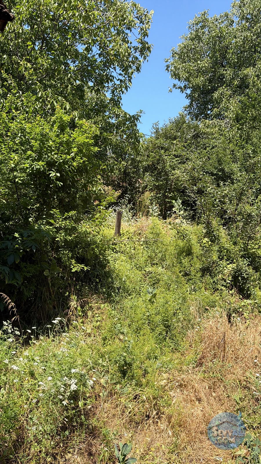 AĞLASUN SAKARCA MAHALLESİNDE SATILIK MUHTELİF ARSA - BURDUR AĞLASUN fotoğraf 4