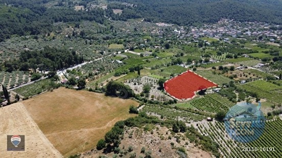 KUŞADASI KİRAZLI da SATILIK ÜZÜM BAĞI ANA YOLA YAKIN - AYDIN KUŞADASI fotoğraf 2